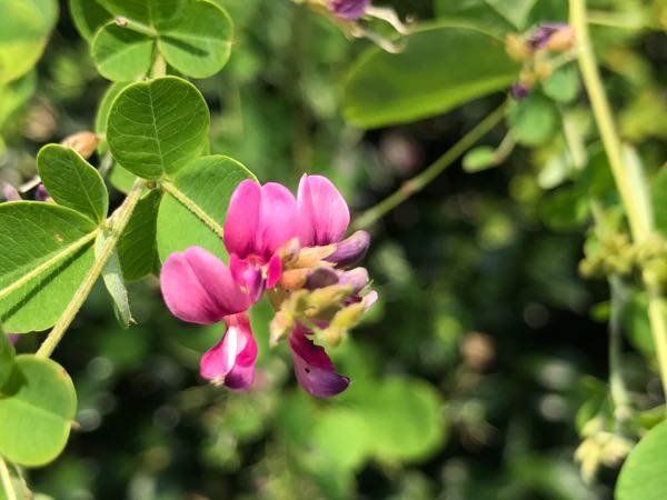 rblog-20170926173506-06.jpg