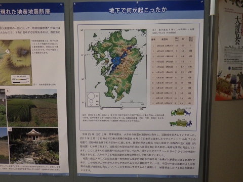 大阪市立自然史博物館2017年9月中旬10　地下で何が起こったか