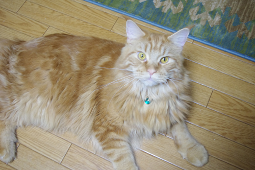 IMGP1298.JPG
