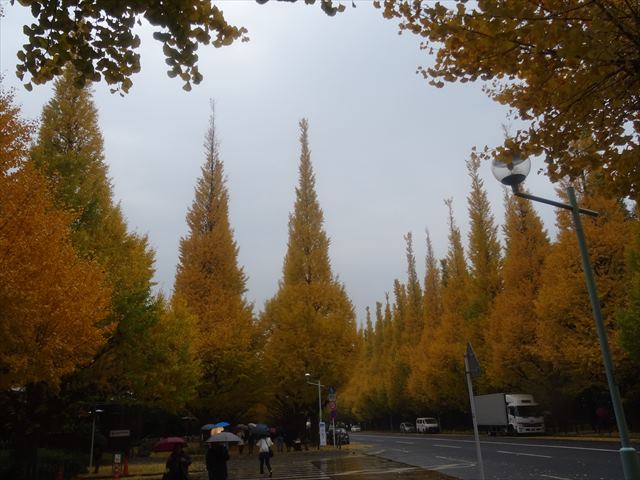 DSC07794_R.JPG
