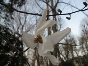 IMG_8175.JPG
