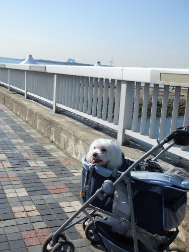 葛西臨海公園にて