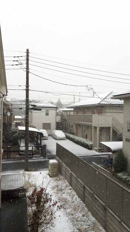 20180122_雪3.jpg