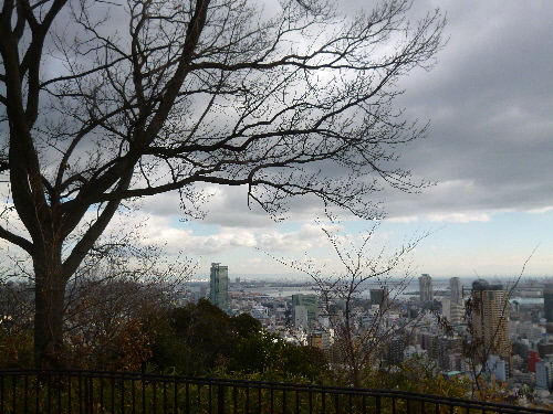 P1140922(1).JPG