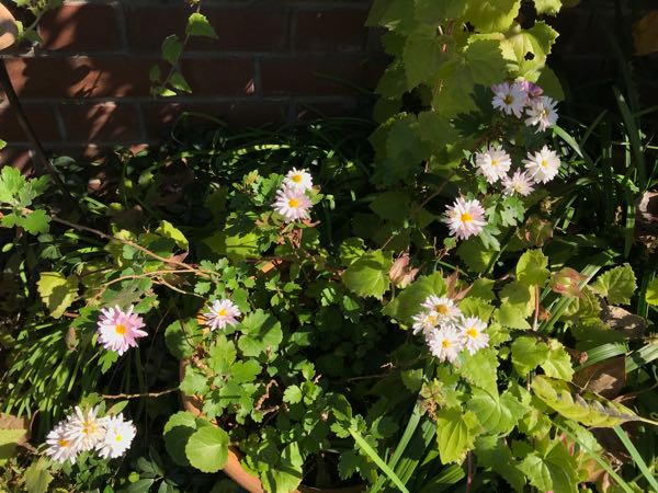 rblog-20181029111101-04.jpg