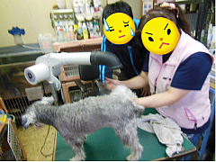 conv0249.JPG