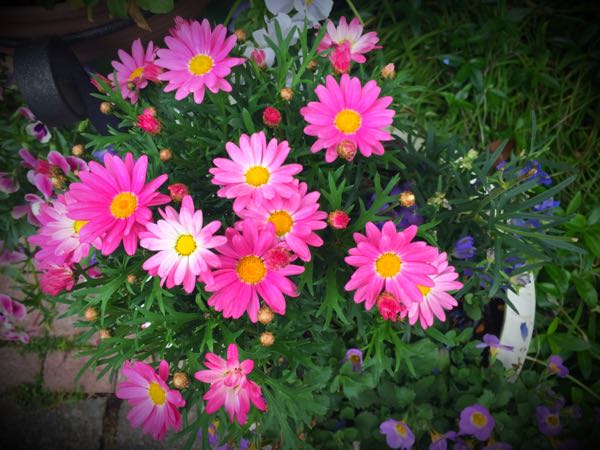rblog-20160427174445-03.jpg