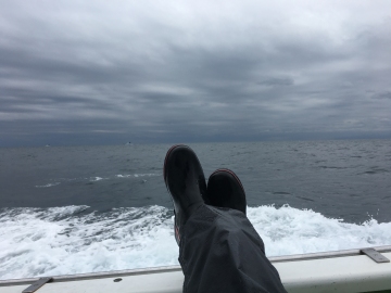 161123沖上がり