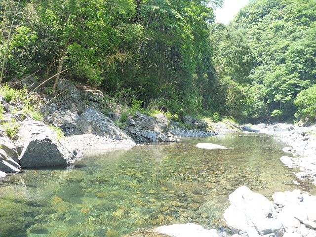 resize0005.jpg