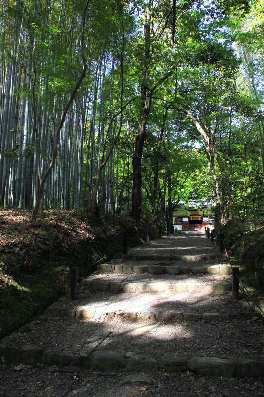 地蔵院_2-2.jpg