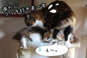 画像 335.jpg