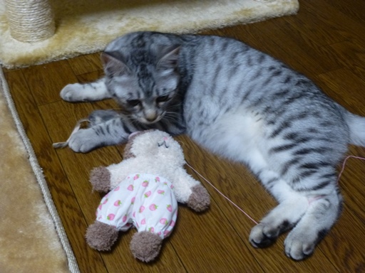 P1160518 - コピー.JPG