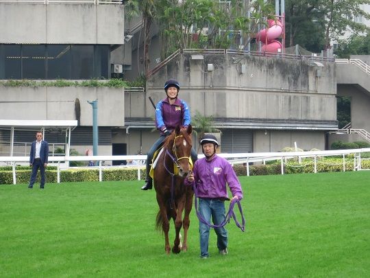 カテゴリ未分類 競馬実況アナウンサー キャスター坂田博昭のウマのある日々 楽天ブログ