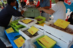 s-DSC_0170.jpg