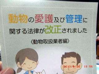 法率改正