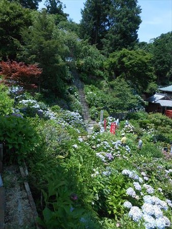 花の寺　本勝寺