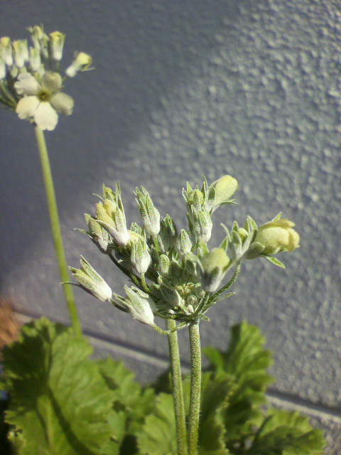 2013010912400002.jpg