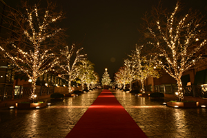 クリスマスツリー