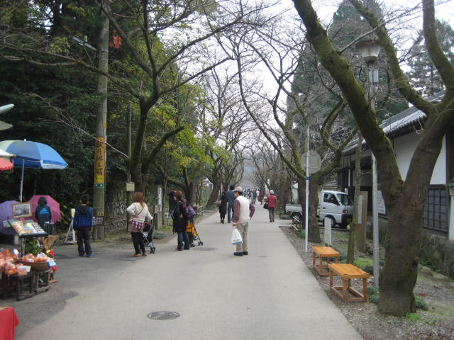IMG_1312.JPG