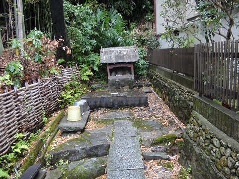 DSC09202.JPG
