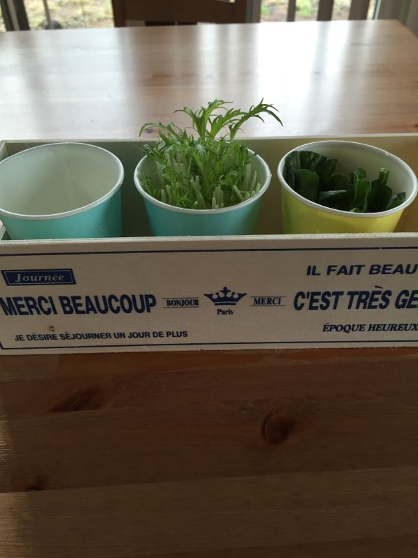 rblog-20150324163922-00.jpg