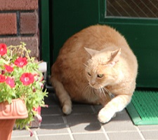 IMG_7535-8.jpg