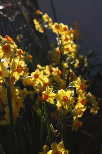 2015030105.JPG
