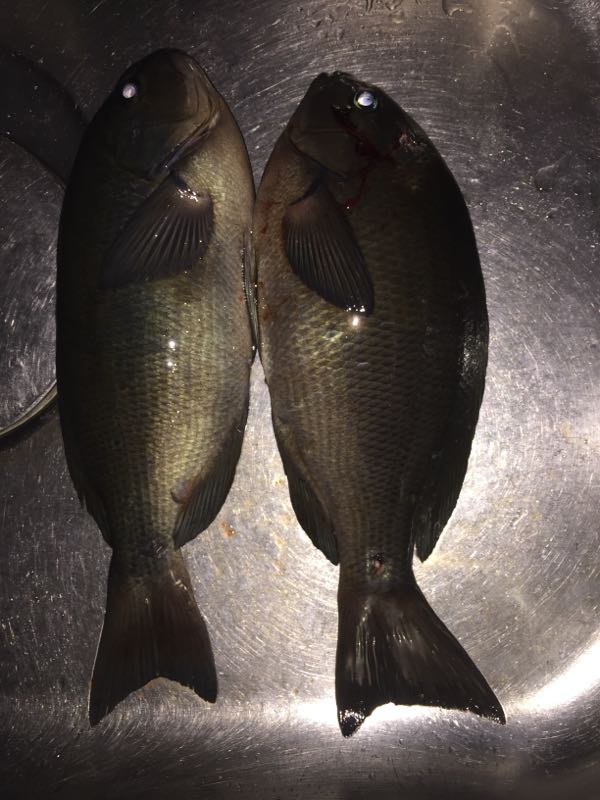 rblog-20151220214125-02.jpg