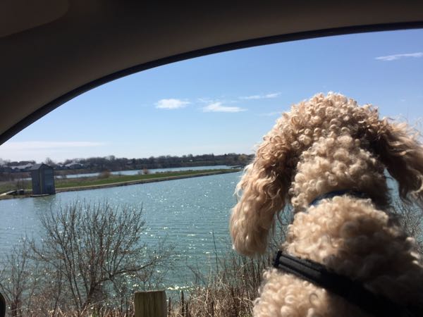 rblog-20180502081757-04.jpg
