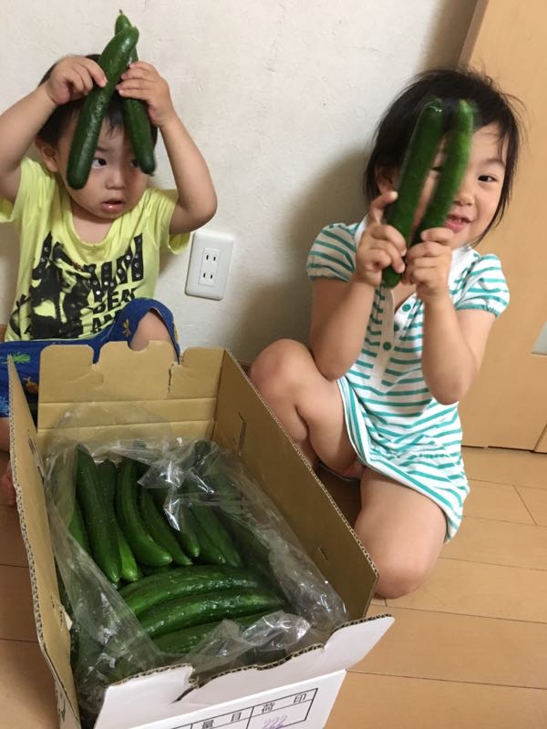 rblog-20160622003012-01.jpg