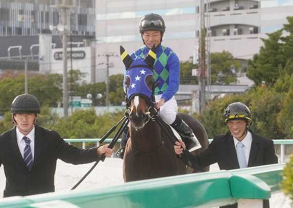 競馬　オマタセシマシタ オマタセシマシタ (Omataseshimashita) | 競走馬データ - netkeiba