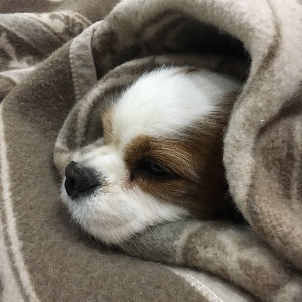 rblog-20180124193411-01.jpg