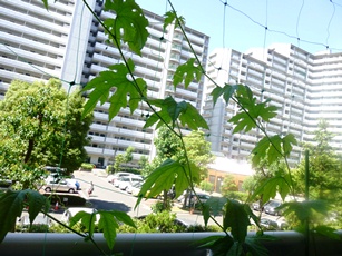P1040391.JPG