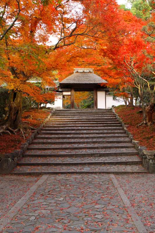 安楽寺_006-2009.11.30.jpg