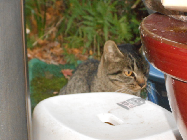 DSCN0742.JPG
