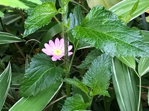 rblog-20180430122502-08.jpg