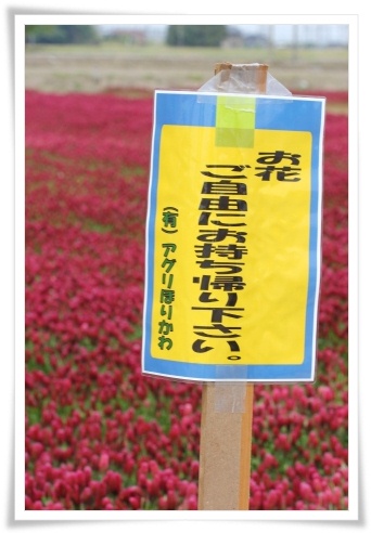 能美市石子町-14 ご自由にどうぞ 13.5.18