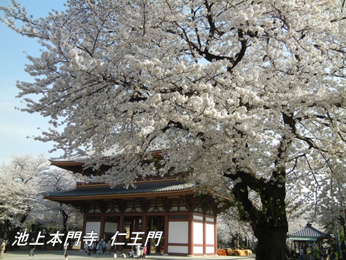 池上本門寺