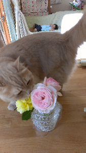 rblog-20130604123939-04.png