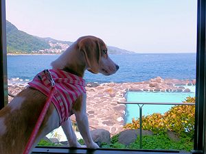 20140930ぼら小屋