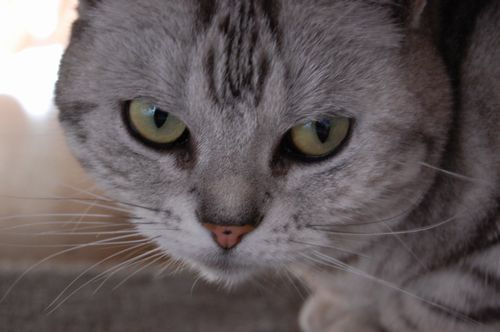 DSC_0314.JPG