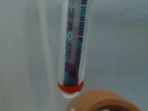 水温計3