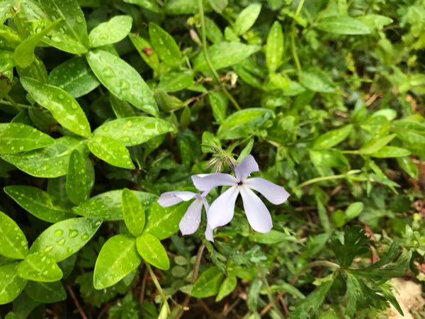 rblog-20190419194050-01.jpg