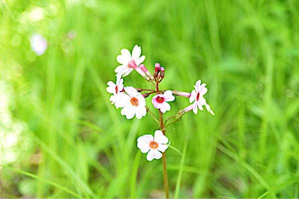 rblog-20180625123044-03.jpg