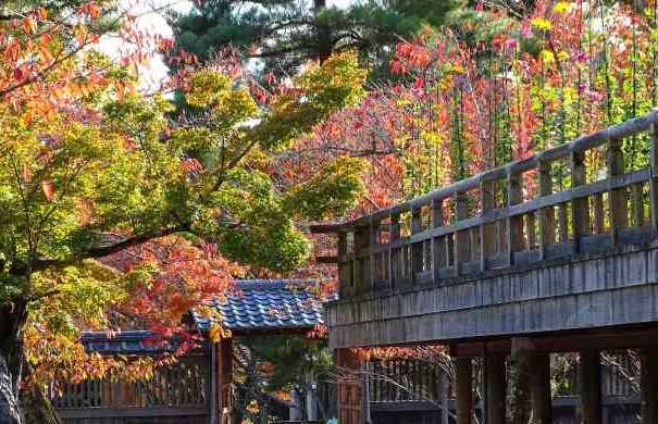 大覚寺 紅葉に染まる大沢池  お散歩うさぎさんのブログ 《京都・いろ 