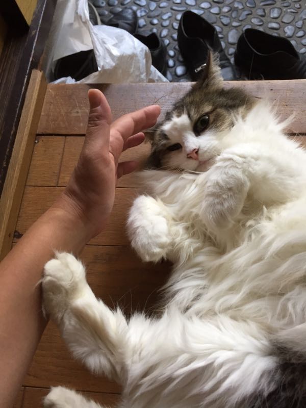 rblog-20150729091845-02.jpg