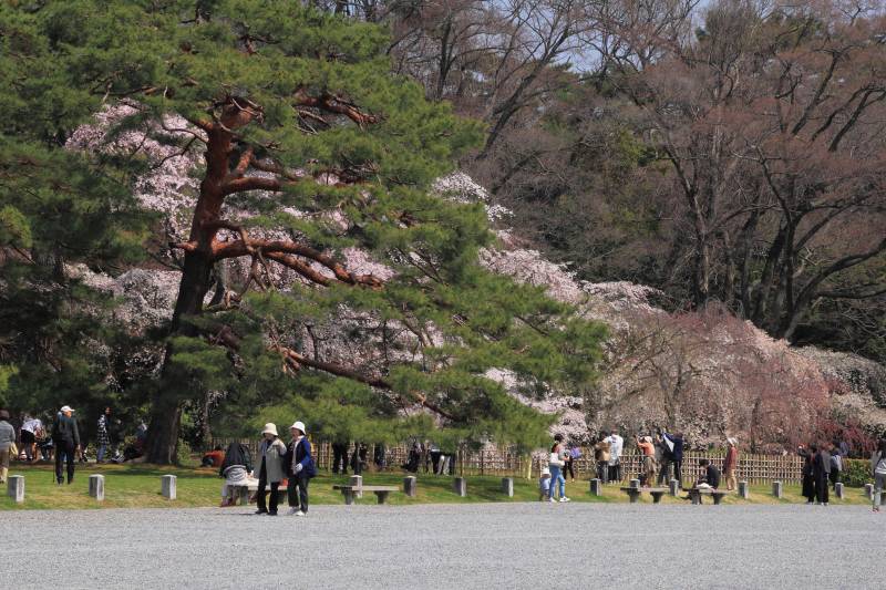 京都御苑_003.jpg