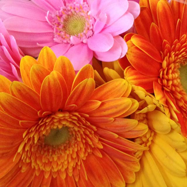 IMG_8776.jpg