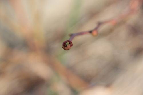 2015031005.JPG