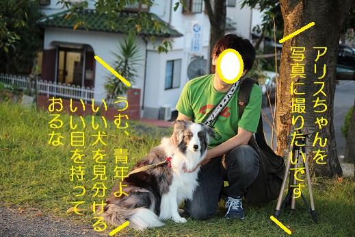 スカウト？